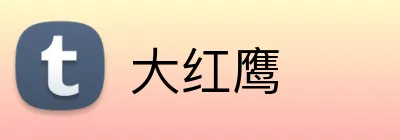 大红鹰 logo